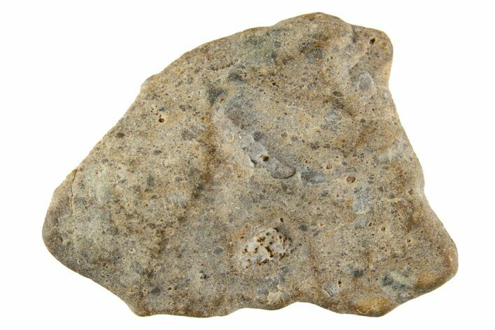 Lunar Meteorite ( g) - Laayoune #313170